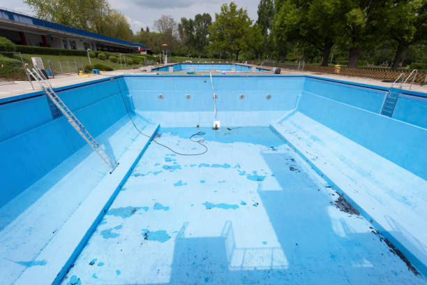 Best Carpet water damage restoration  in Bensenvle, IL
