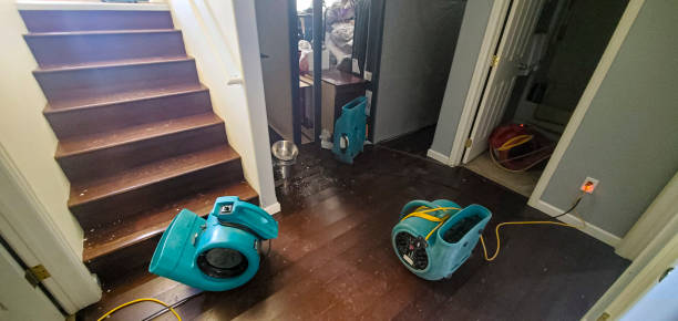 Best Water damage restoration near me  in Bensenvle, IL