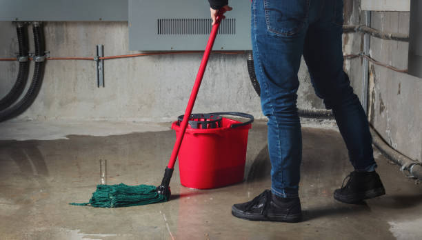Best Commercial water damage restoration  in Bensenvle, IL