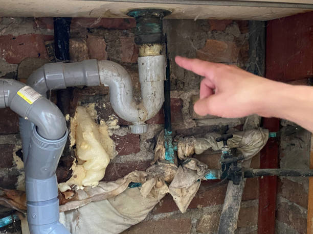 Best Water damage restoration process  in Bensenvle, IL